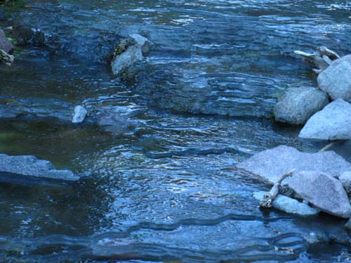 Perfect temps turned the creek North of Murray Canyon into slush.