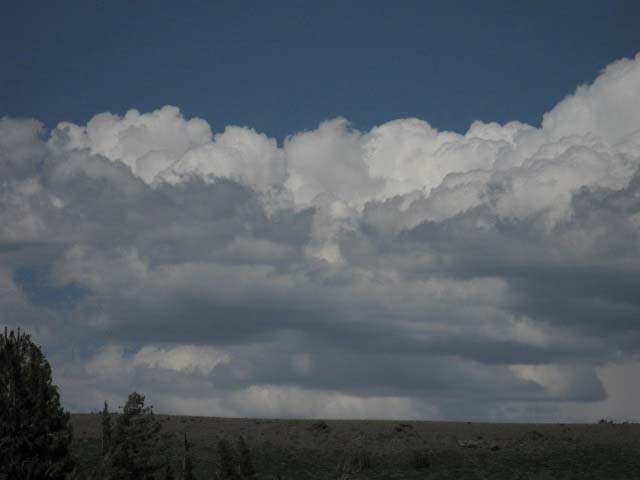 Thunderheads forming as warm air is chilled rising to the Sierra crest.