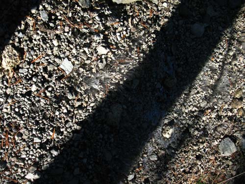2 inches of frost under decptive trail surface.