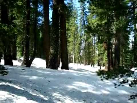 See video
